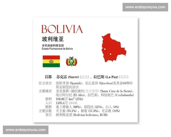 高原之战与速度对决玻利维亚迎战厄瓜多尔南美预选赛关键较量 高原之战与速度对决玻利维亚迎战厄瓜多尔南美预选赛关键较量